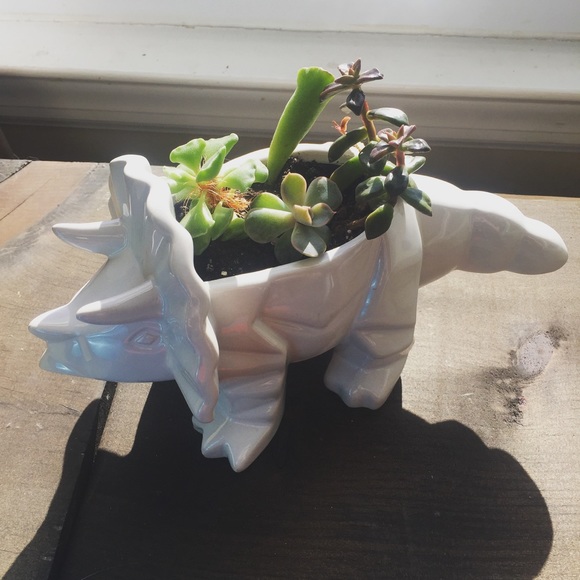 Meet your Posher! π - Picture 5 of 5